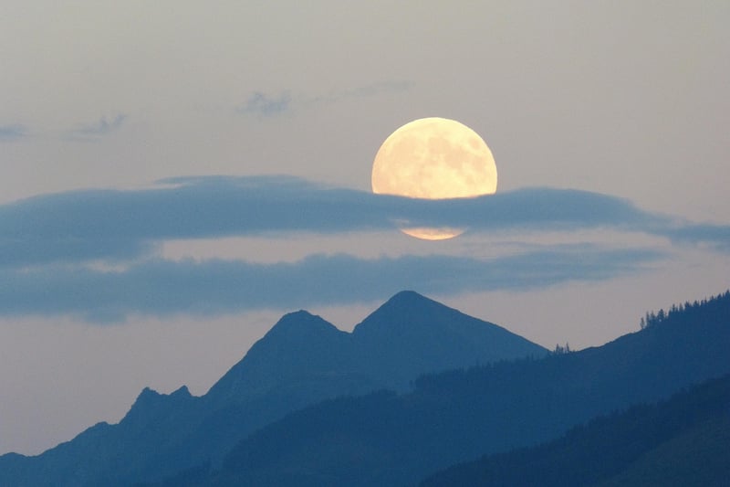 Magical moonlit night
